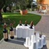 Cartone da 6 bottiglie di Vino Rosso - immagine 2