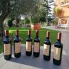 Cartone da 6 bottiglie di Vino Rosso